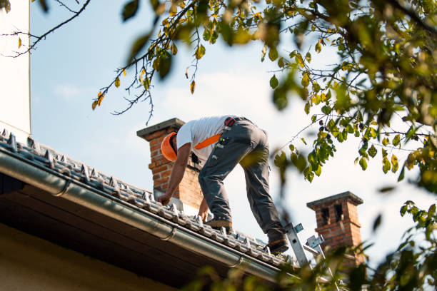 Professional Roofing Contractor in Frederic, WI