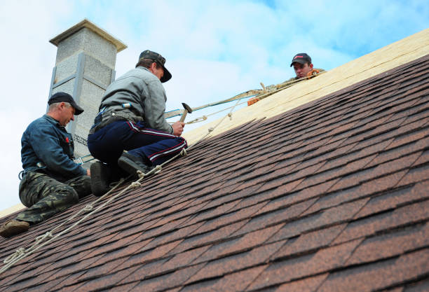 Best Roof Gutter Cleaning  in Frederic, WI