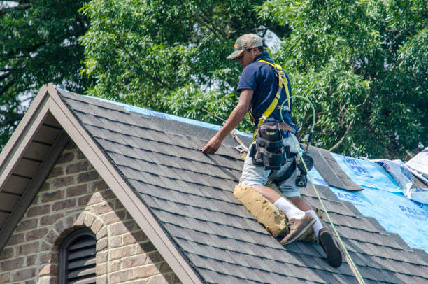 Best Roof Gutter Cleaning  in Frederic, WI